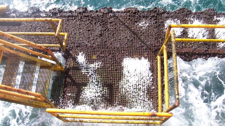 120433927_2690965601159552_4899008548309091969_n