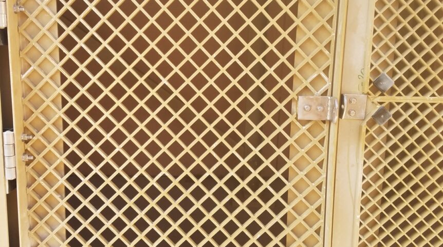 145623089_2789683341287777_3540562636490761902_n